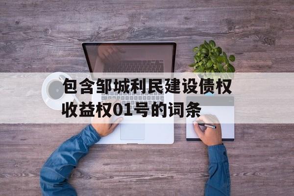 包含邹城利民建设债权收益权01号的词条