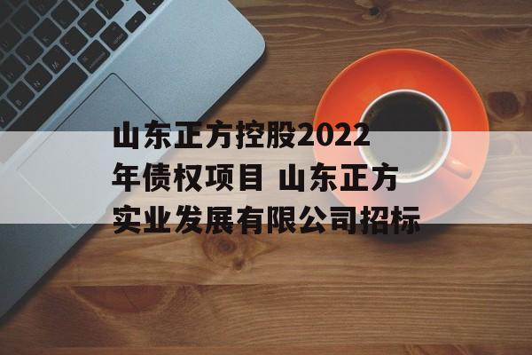 山东正方控股2022年债权项目 山东正方实业发展有限公司招标