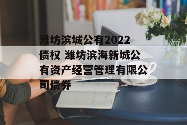 潍坊滨城公有2022债权 潍坊滨海新城公有资产经营管理有限公司债券