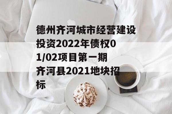 德州齐河城市经营建设投资2022年债权01/02项目第一期 齐河县2021地块招标