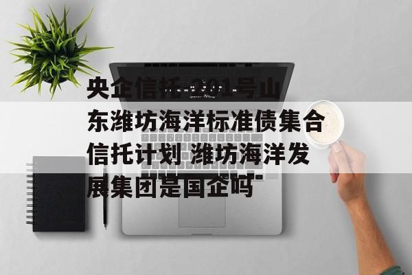 央企信托-201号山东潍坊海洋标准债集合信托计划 潍坊海洋发展集团是国企吗