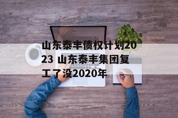 山东泰丰债权计划2023 山东泰丰集团复工了没2020年