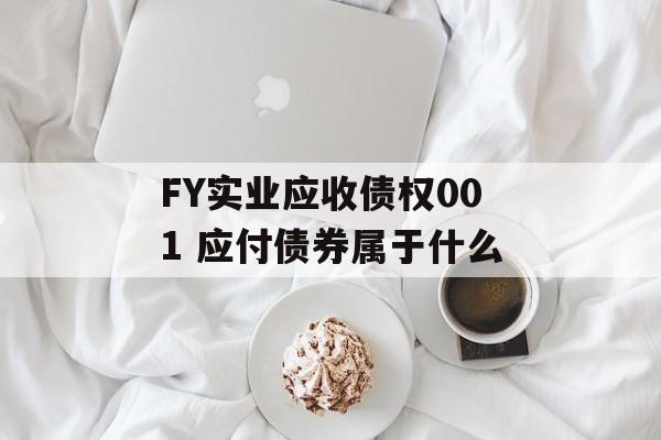 FY实业应收债权001 应付债券属于什么