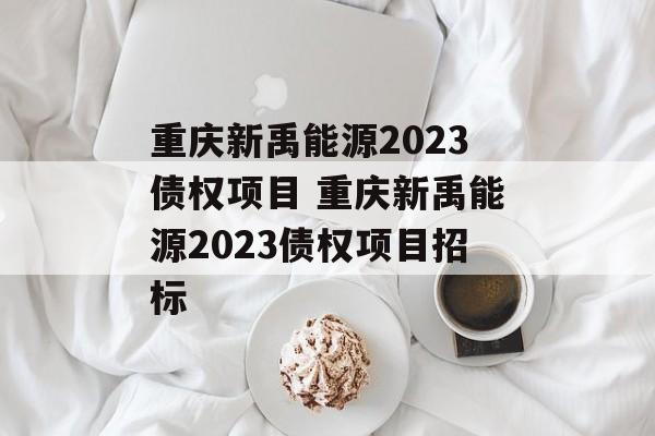 重庆新禹能源2023债权项目 重庆新禹能源2023债权项目招标