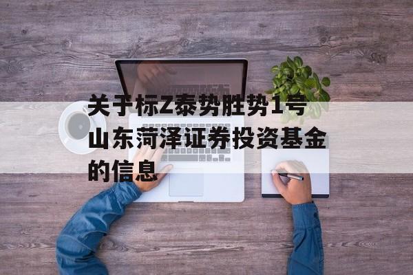 关于标Z泰势胜势1号山东菏泽证券投资基金的信息