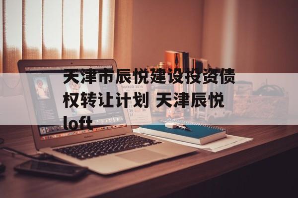 天津市辰悦建设投资债权转让计划 天津辰悦loft