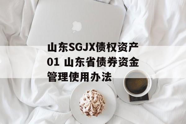 山东SGJX债权资产01 山东省债券资金管理使用办法