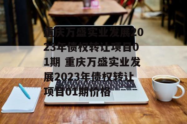 重庆万盛实业发展2023年债权转让项目01期 重庆万盛实业发展2023年债权转让项目01期价格