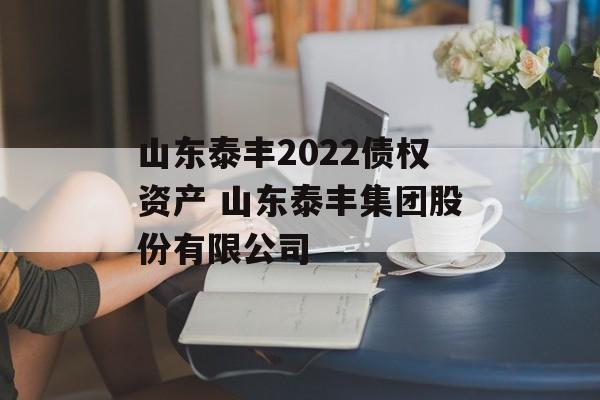 山东泰丰2022债权资产 山东泰丰集团股份有限公司