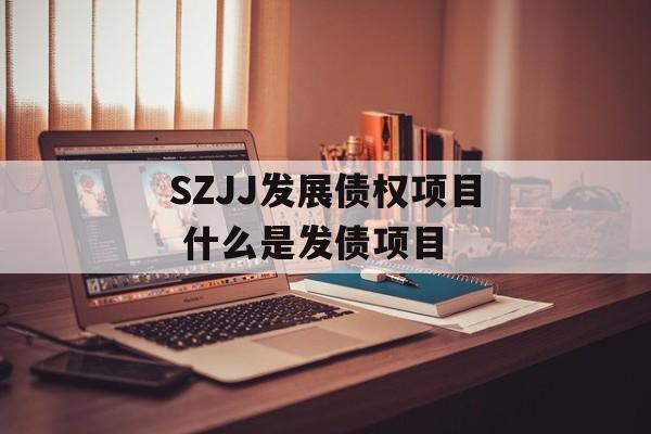 SZJJ发展债权项目 什么是发债项目