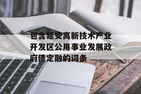 包含延安高新技术产业开发区公用事业发展政府债定融的词条