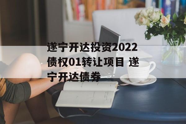 遂宁开达投资2022债权01转让项目 遂宁开达债券