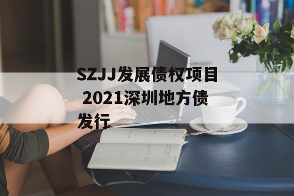 SZJJ发展债权项目 2021深圳地方债发行