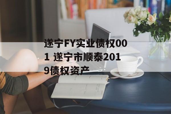 遂宁FY实业债权001 遂宁市顺泰2019债权资产