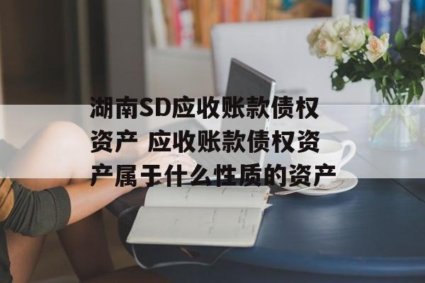 湖南SD应收账款债权资产 应收账款债权资产属于什么性质的资产