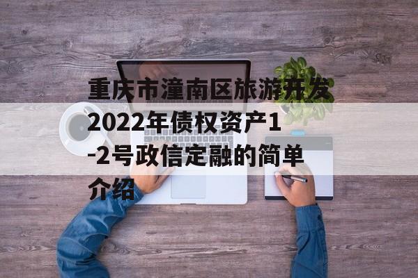 重庆市潼南区旅游开发2022年债权资产1-2号政信定融的简单介绍