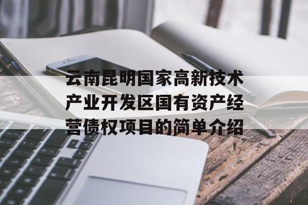 云南昆明国家高新技术产业开发区国有资产经营债权项目的简单介绍