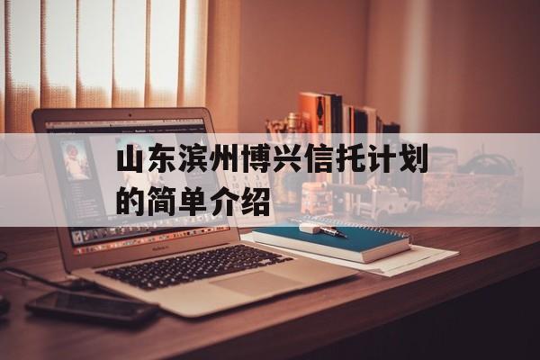 山东滨州博兴信托计划的简单介绍