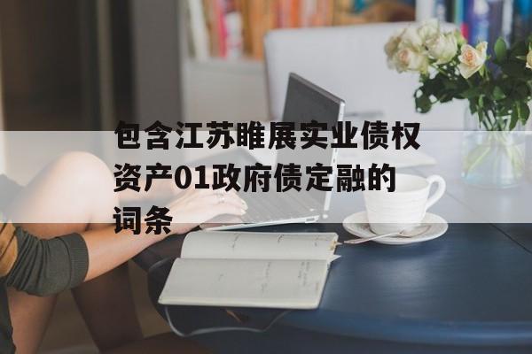 包含江苏睢展实业债权资产01政府债定融的词条