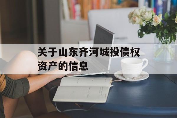 关于山东齐河城投债权资产的信息