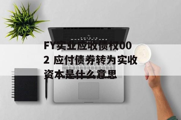 FY实业应收债权002 应付债券转为实收资本是什么意思