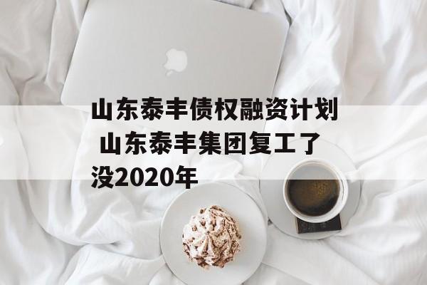 山东泰丰债权融资计划 山东泰丰集团复工了没2020年