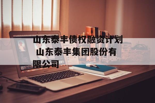 山东泰丰债权融资计划 山东泰丰集团股份有限公司