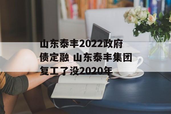 山东泰丰2022政府债定融 山东泰丰集团复工了没2020年