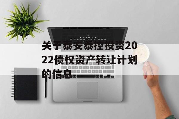 关于泰安泰控投资2022债权资产转让计划的信息