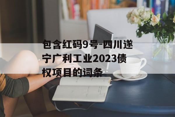 包含红码9号-四川遂宁广利工业2023债权项目的词条