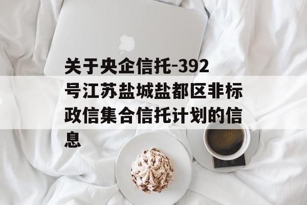 关于央企信托-392号江苏盐城盐都区非标政信集合信托计划的信息