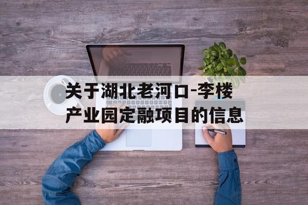 关于湖北老河口-李楼产业园定融项目的信息