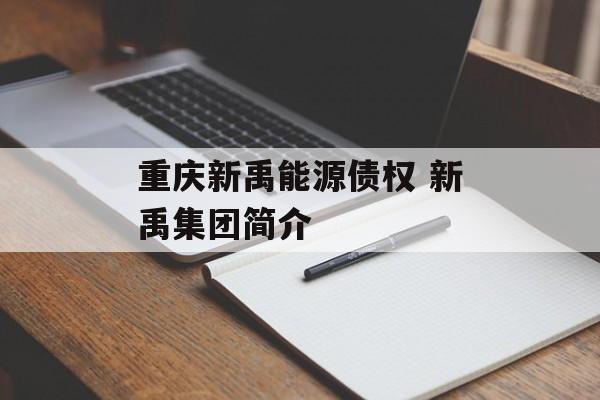 重庆新禹能源债权 新禹集团简介