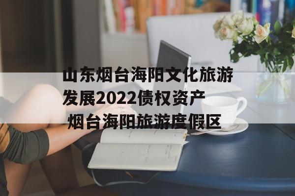 山东烟台海阳文化旅游发展2022债权资产 烟台海阳旅游度假区