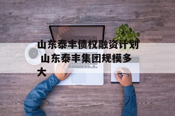 山东泰丰债权融资计划 山东泰丰集团规模多大