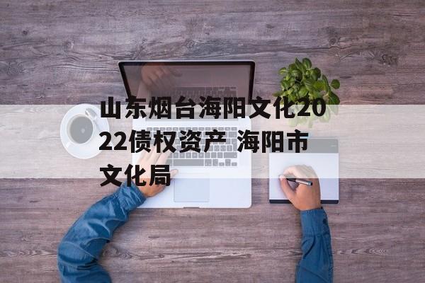 山东烟台海阳文化2022债权资产 海阳市文化局