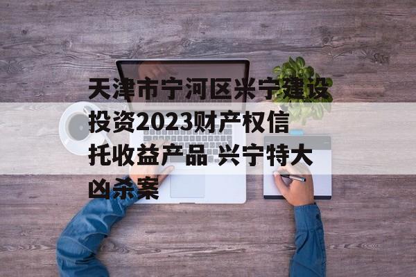 天津市宁河区兴宁建设投资2023财产权信托收益产品 兴宁特大凶杀案