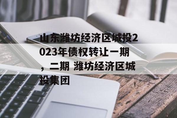 山东潍坊经济区城投2023年债权转让一期，二期 潍坊经济区城投集团