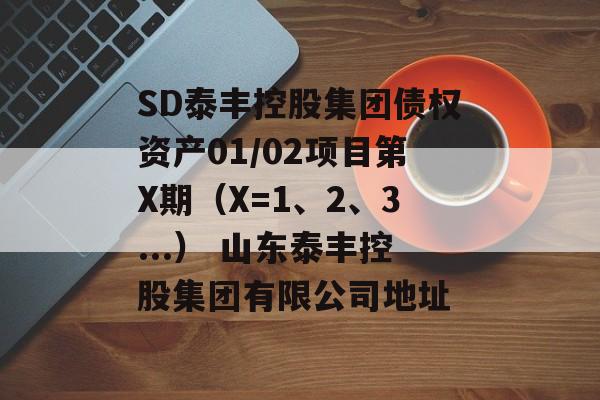 SD泰丰控股集团债权资产01/02项目第X期（X=1、2、3...） 山东泰丰控股集团有限公司地址