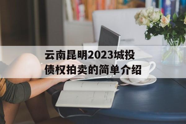 云南昆明2023城投债权拍卖的简单介绍