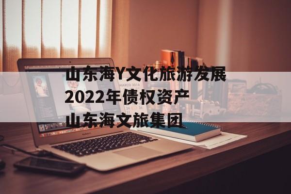 山东海Y文化旅游发展2022年债权资产 山东海文旅集团