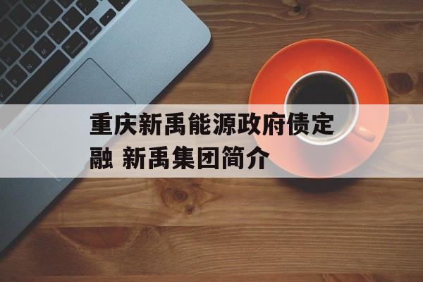 重庆新禹能源政府债定融 新禹集团简介