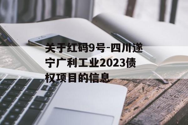 关于红码9号-四川遂宁广利工业2023债权项目的信息