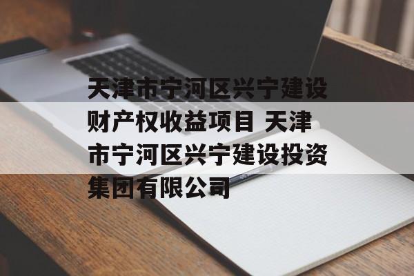 天津市宁河区兴宁建设财产权收益项目 天津市宁河区兴宁建设投资集团有限公司