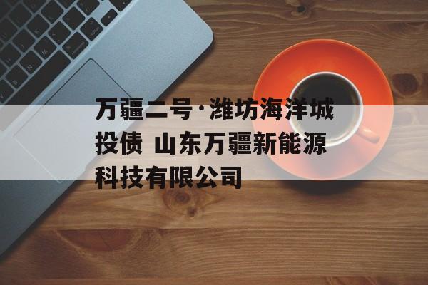 万疆二号·潍坊海洋城投债 山东万疆新能源科技有限公司