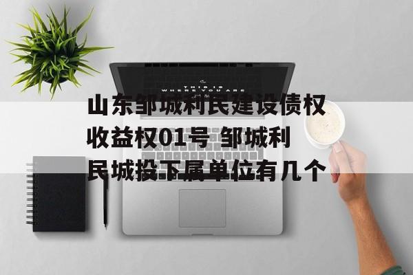 山东邹城利民建设债权收益权01号 邹城利民城投下属单位有几个