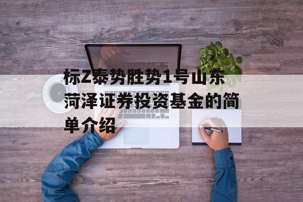 标Z泰势胜势1号山东菏泽证券投资基金的简单介绍