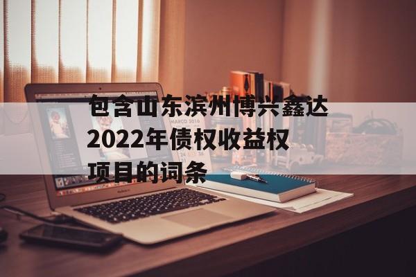 包含山东滨州博兴鑫达2022年债权收益权项目的词条