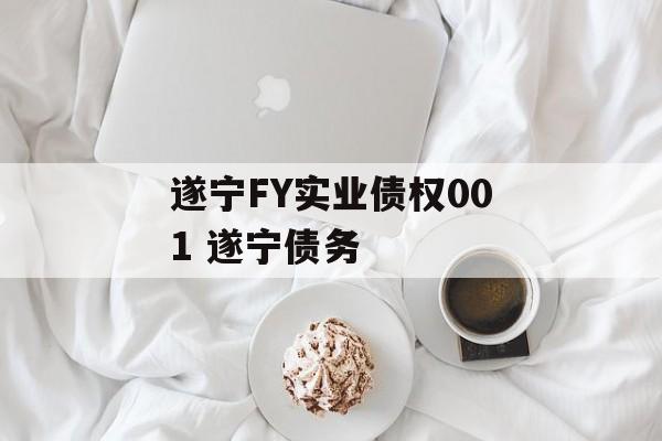 遂宁FY实业债权001 遂宁债务