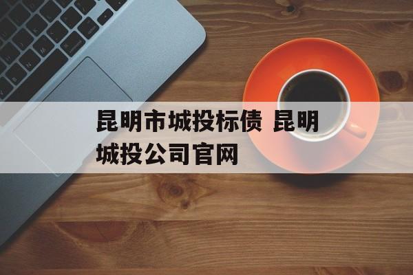 昆明市城投标债 昆明城投公司官网